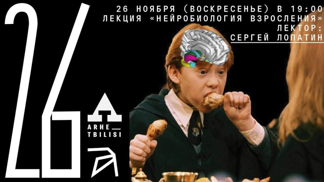 [Архэ] Сергей Лопатин - Нейробиология взросления (_0.jpg